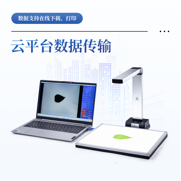 叶面积仪