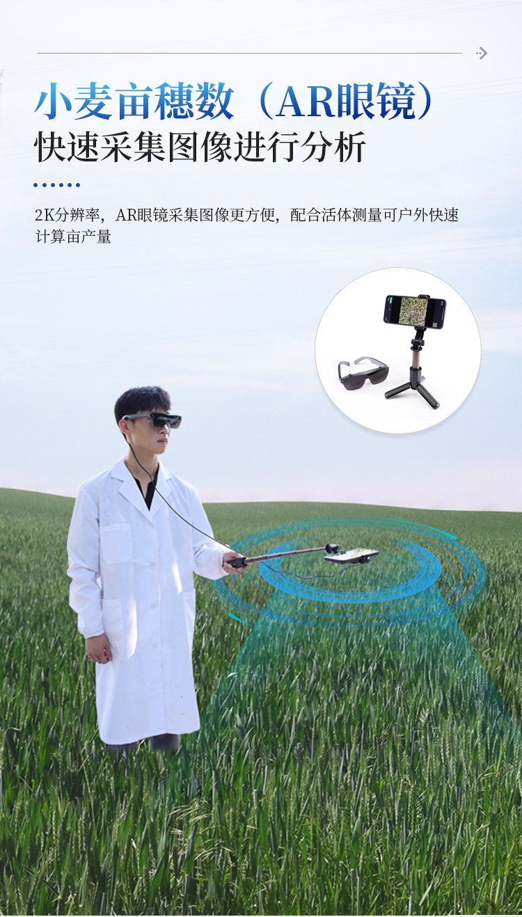 小麦亩穗数测量仪