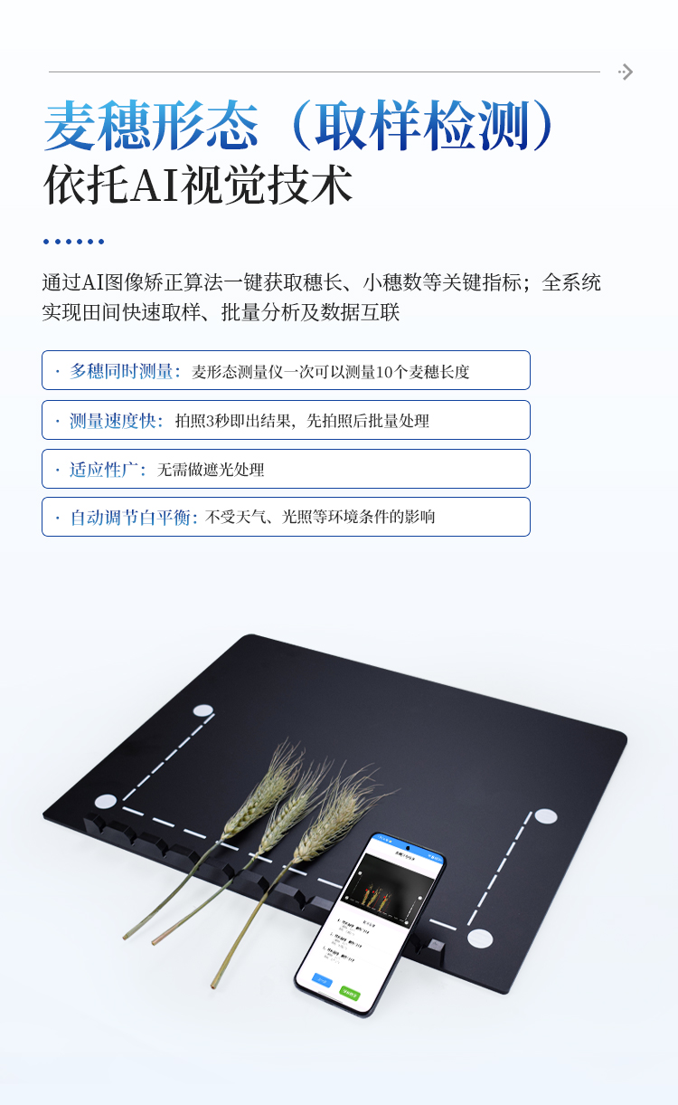 小麦亩穗数测量仪