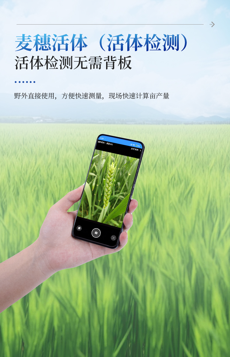 小麦亩穗数测量仪