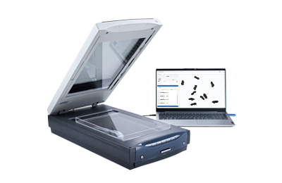 植物根系图像分析仪IN-GX03