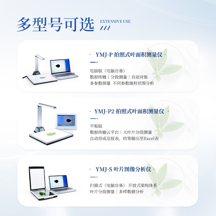 叶面积测定仪